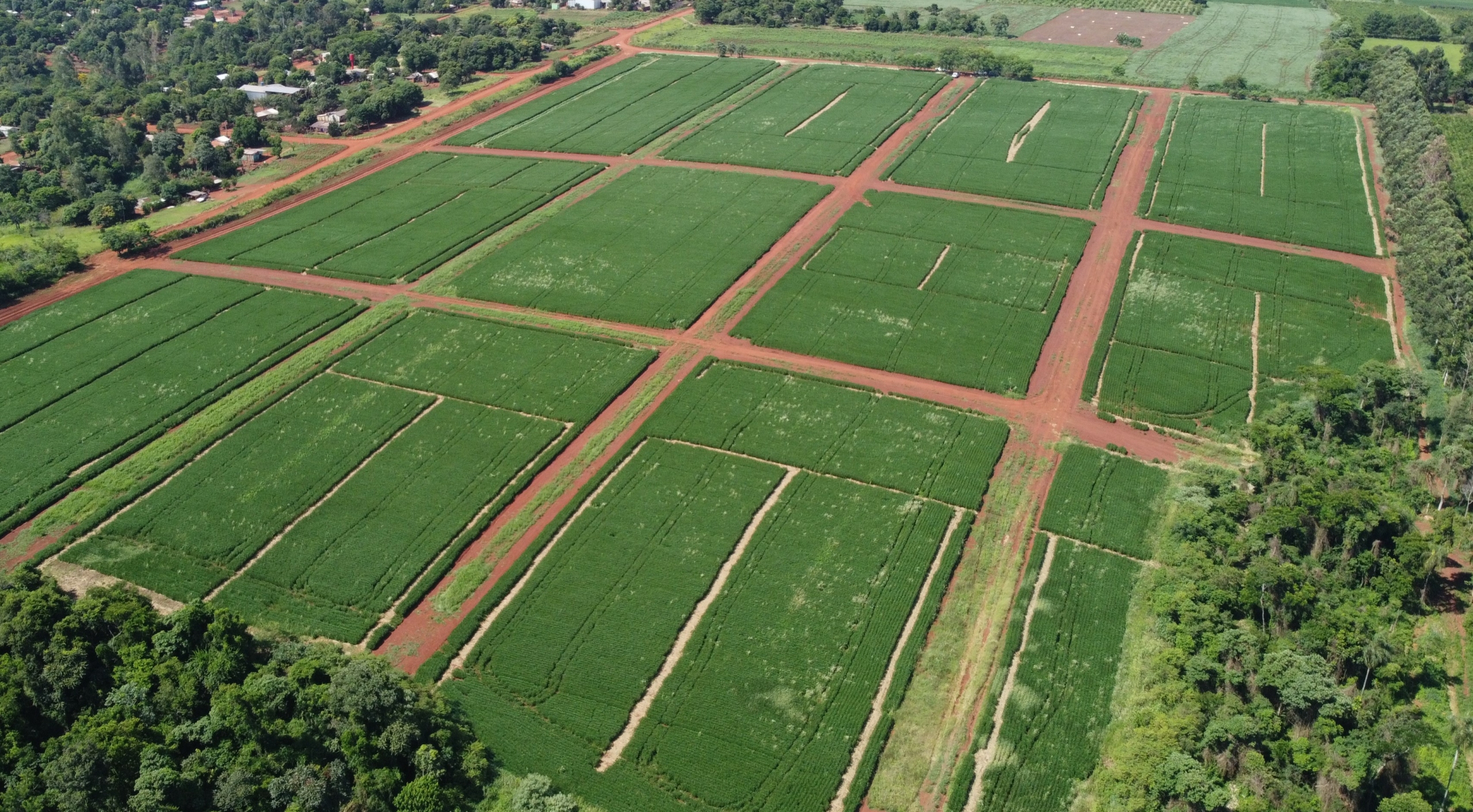 Venta en Paraguay