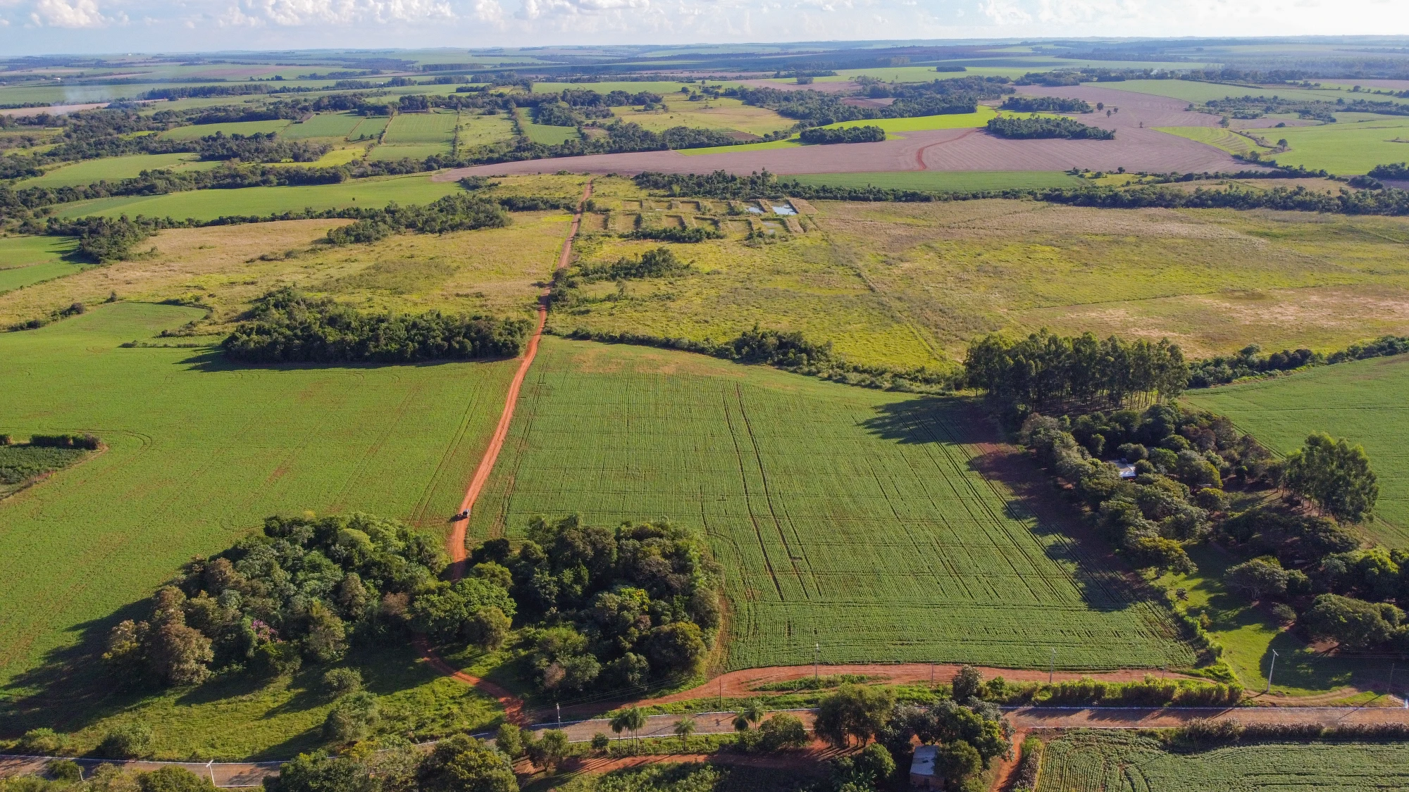 DJI_0001