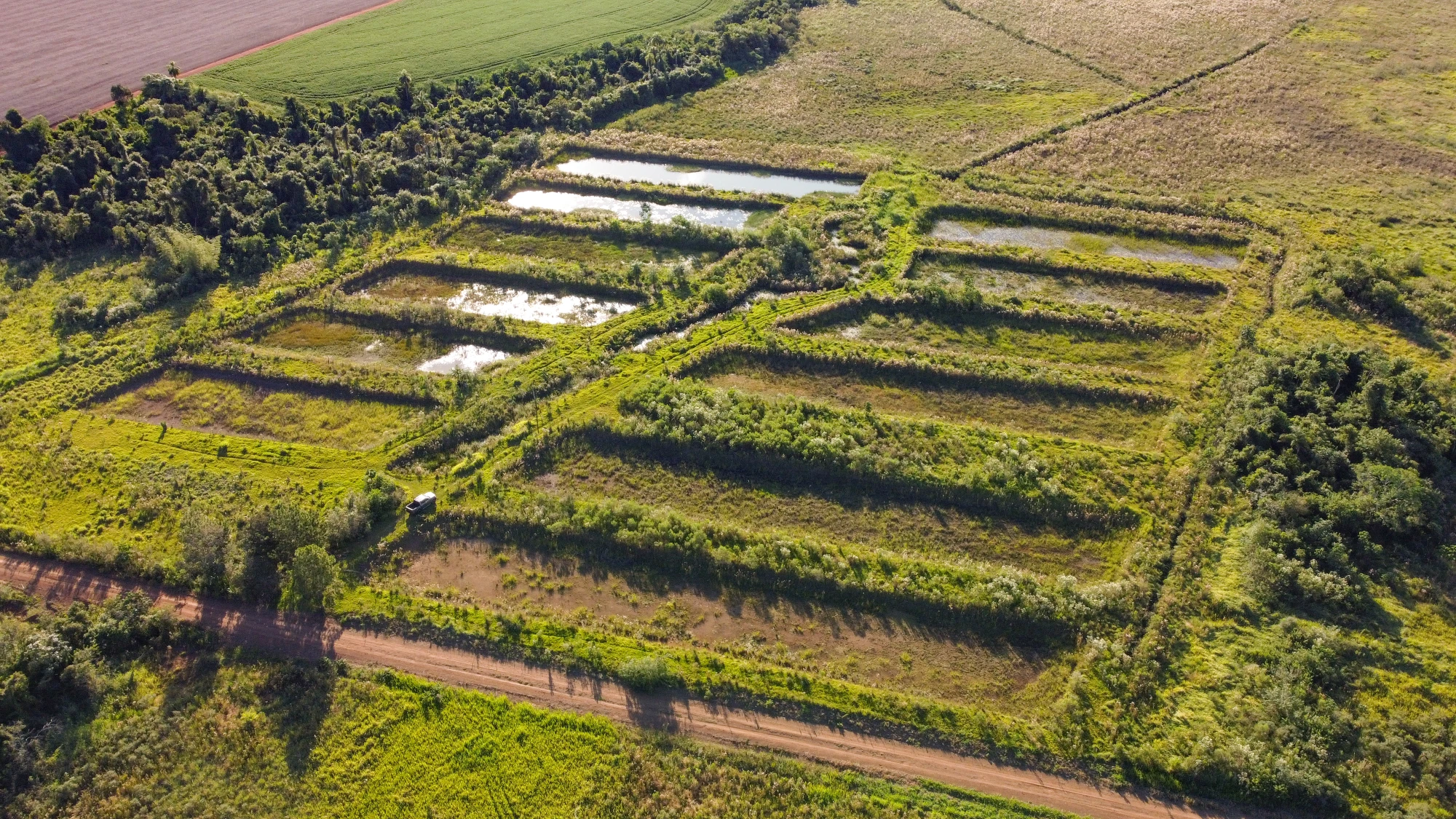 DJI_0007