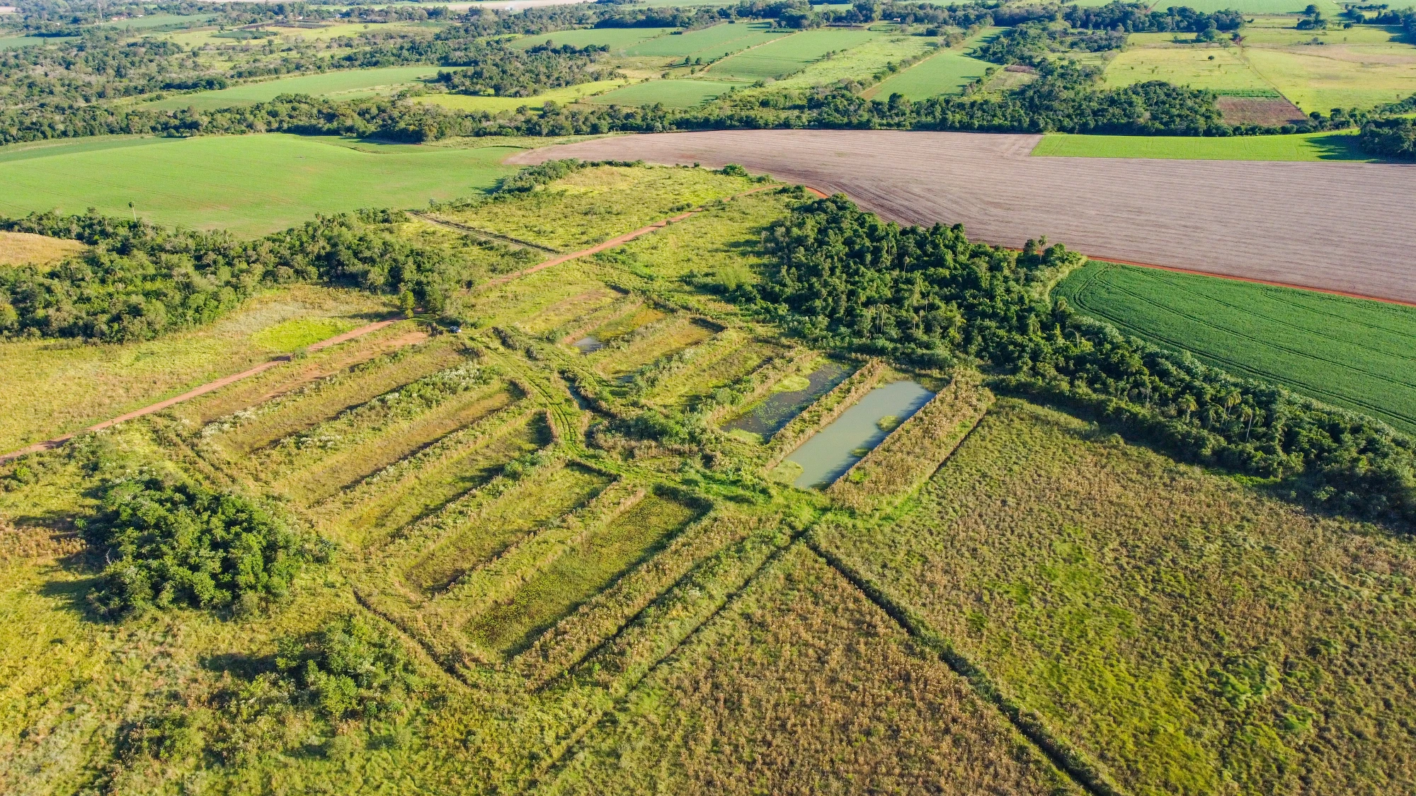 DJI_0010