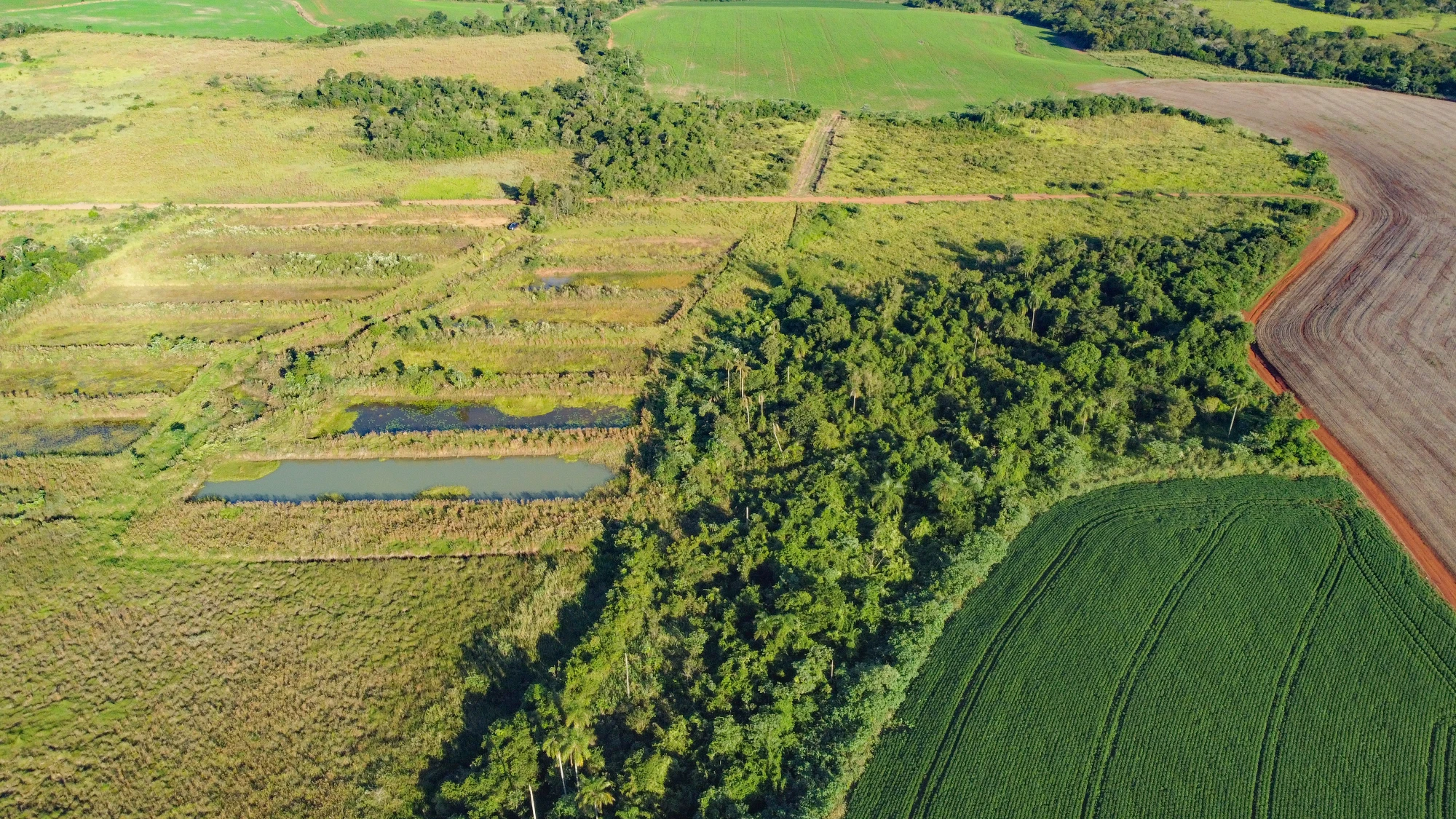 DJI_0013