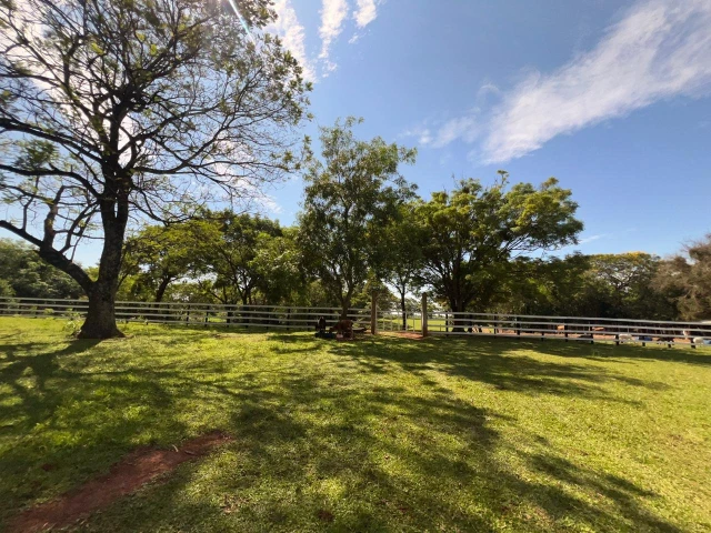 394a0587-dc9c-43a3-aad3-dc08f34bba08