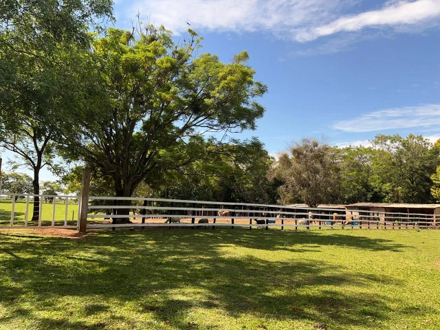 1944ddd1-d0d1-4bae-9053-410351241aee