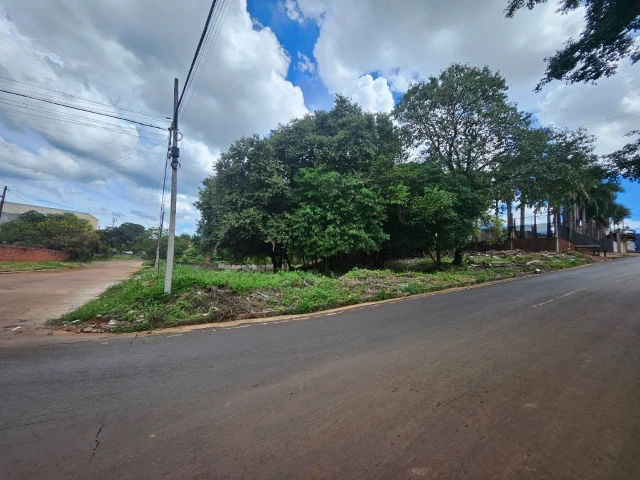 653ac66e-3c92-48e1-b02c-b4d967ac40f7-Photoroom