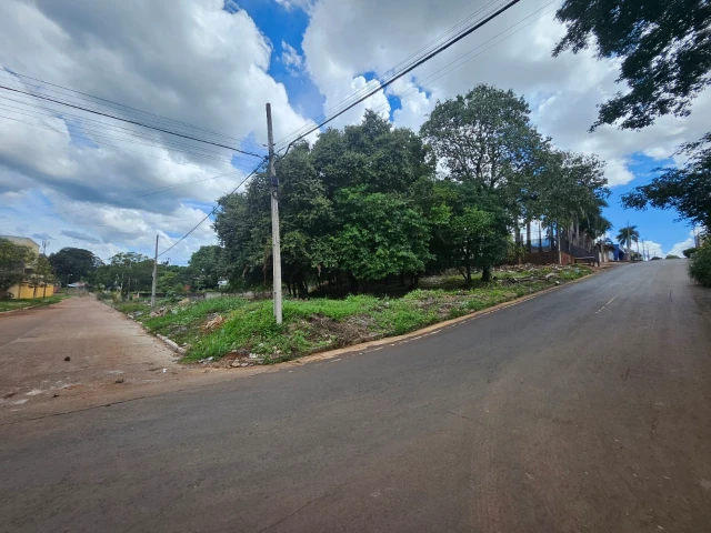 a8e13410-854e-4663-8f95-a6d0ace2cfe5-Photoroom