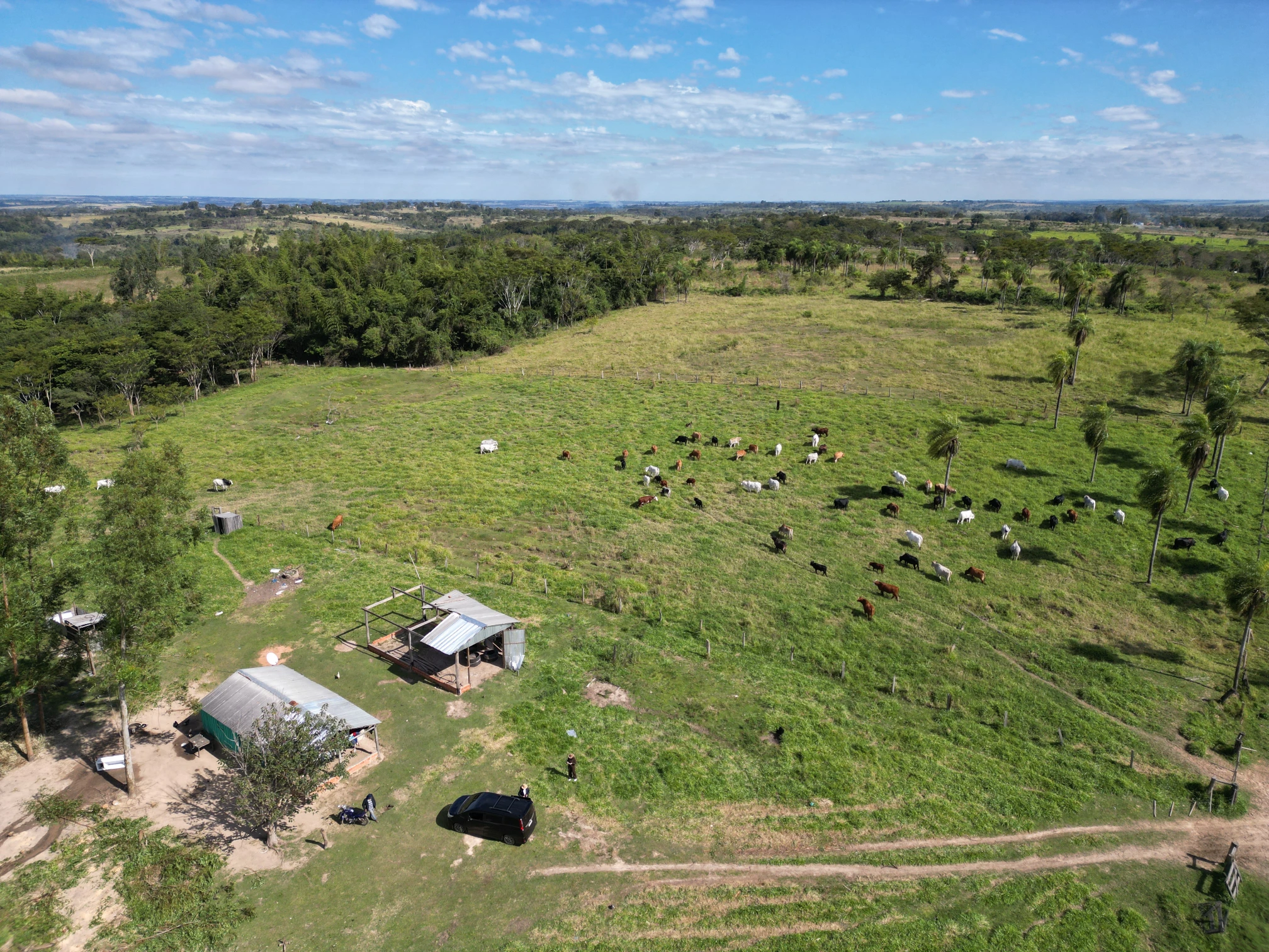 DJI_0059