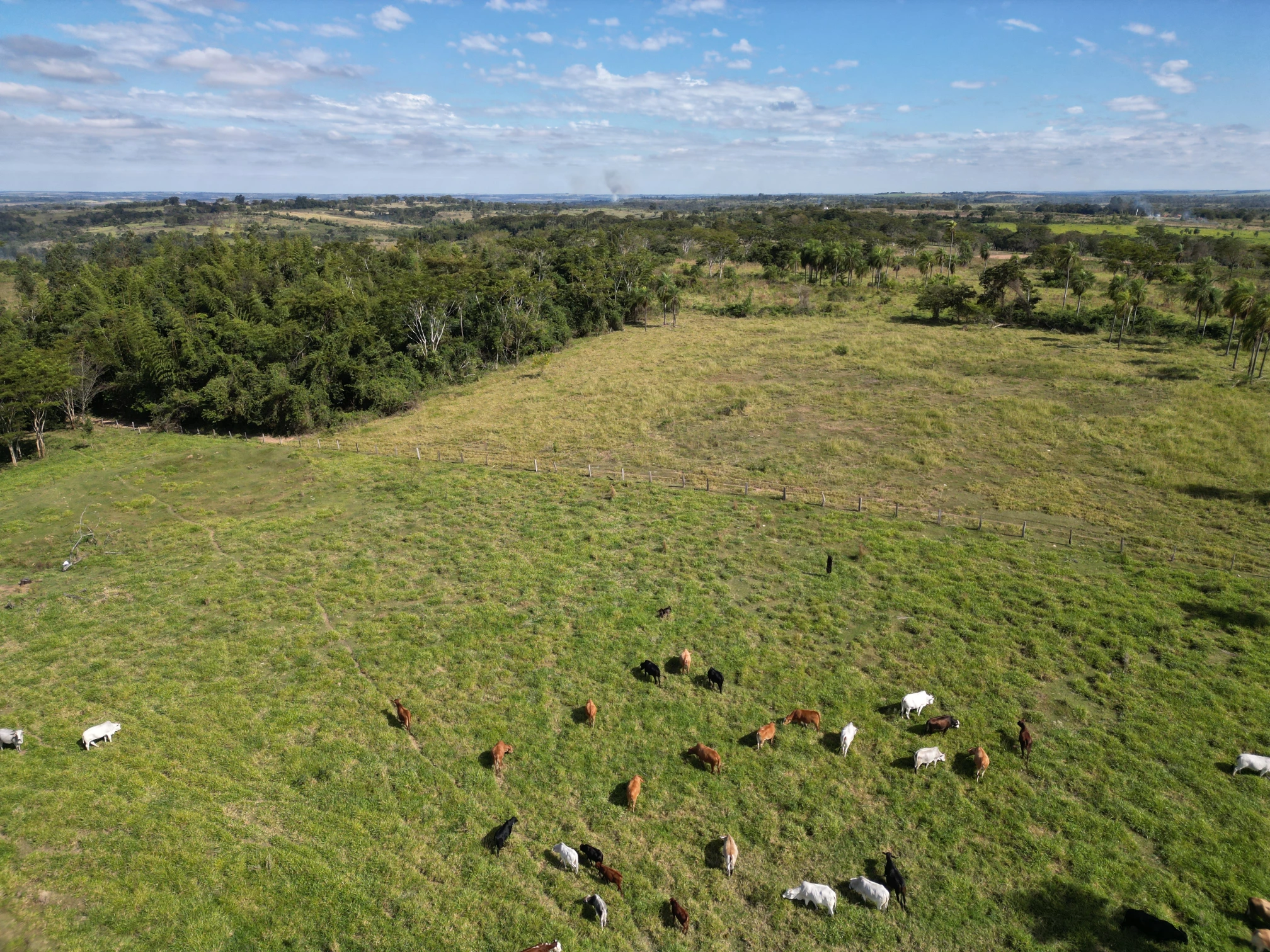 DJI_0058