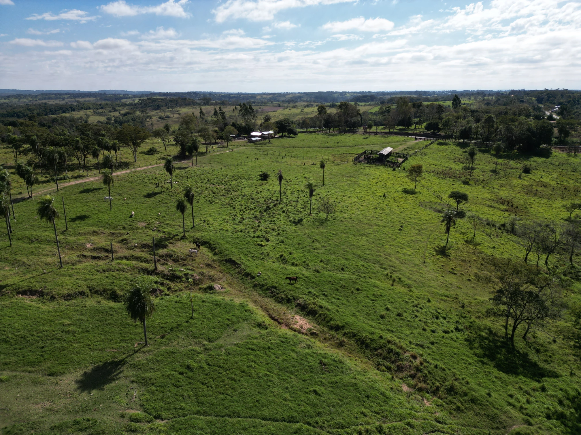 DJI_0060