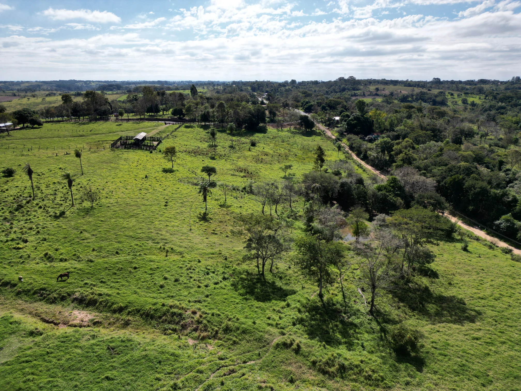 DJI_0061